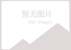 鹤岗山柳机械有限公司